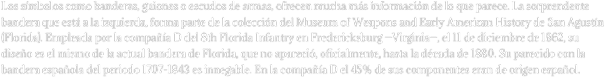Los símbolos como banderas, guiones o escudos de armas, ofrecen mucha más información de lo que parece. La sorprendente bandera que está a la izquierda, forma parte de la colección del Museum of Weapons and Early American History de San Agustín (Florida). Empleada por la compañía D del 8th Florida Infantry en Fredericksburg —Virginia—, el 11 de diciembre de 1862, su diseño es el mismo de la actual bandera de Florida, que no apareció, oficialmente, hasta la década de 1880. Su parecido con la bandera española del periodo 1707-1843 es innegable. En la compañía D el 45% de sus componentes eran de origen español.
